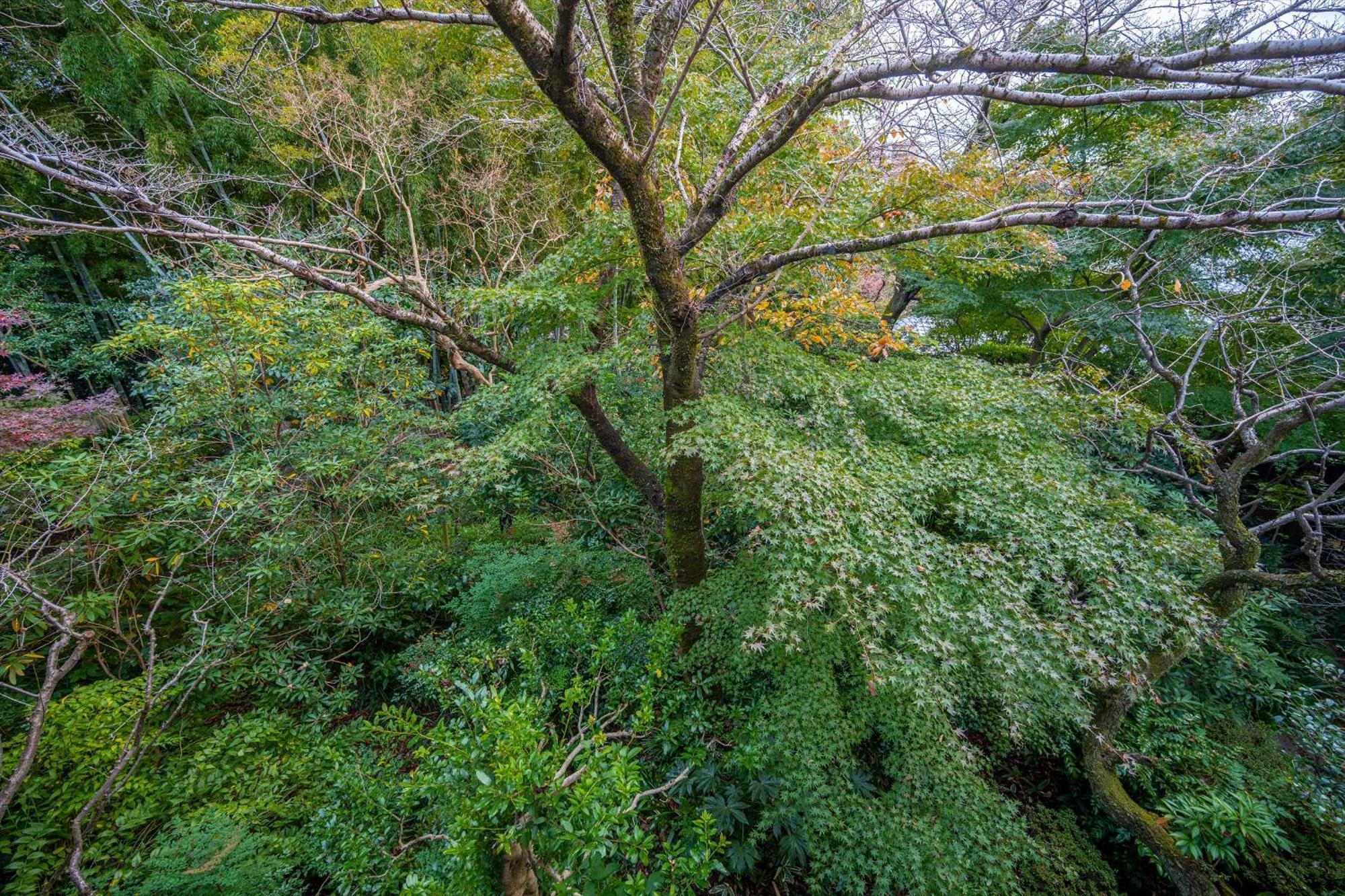 Jinya Ryokan Hadano Luaran gambar